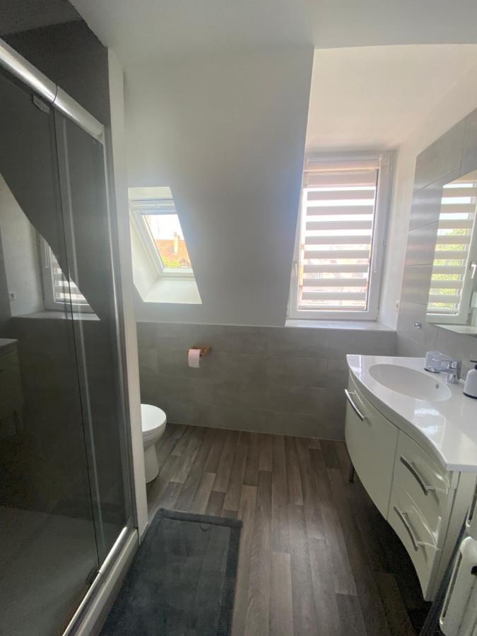Appartement Cosy A Colmar Luaran gambar