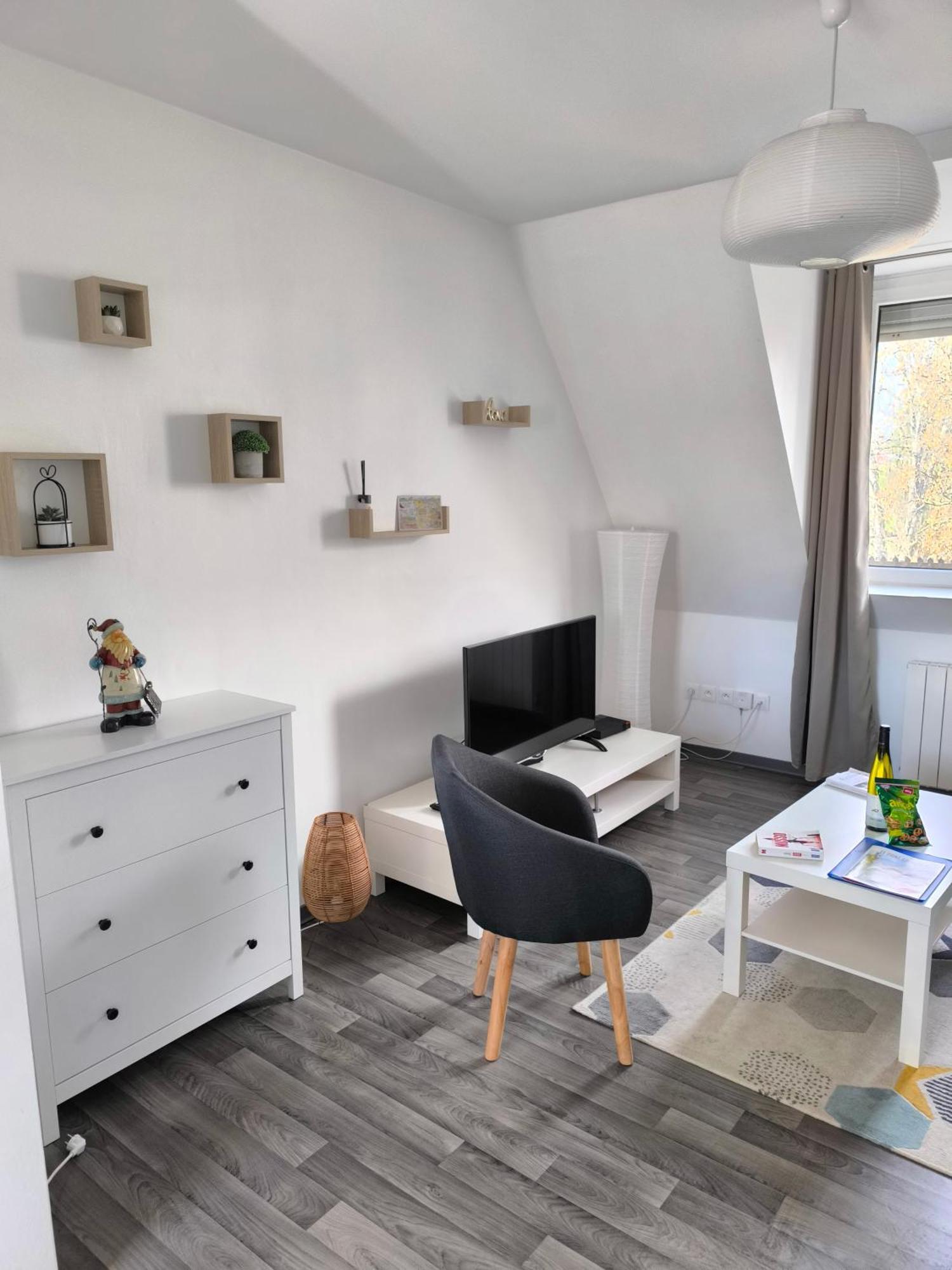 Appartement Cosy A Colmar Luaran gambar